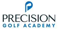 precision gold academy logo